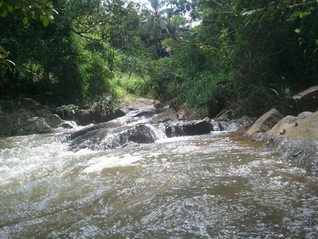 Jungle Village Homestay Pinnawala  Extérieur photo